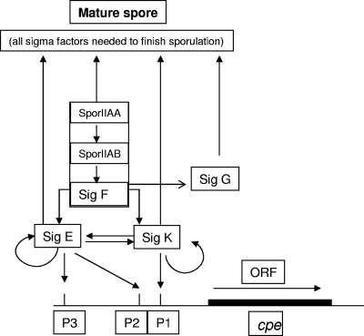 FIG. 8.