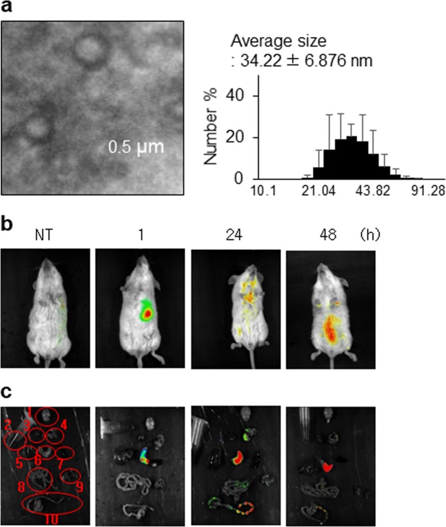 Fig. 2