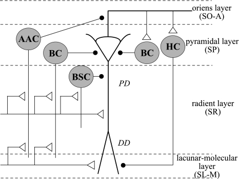 Fig. 2