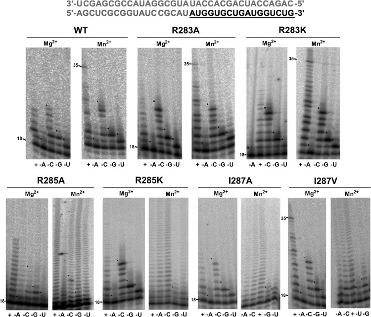 Fig 6