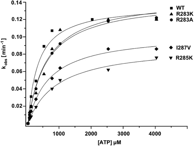 Fig 4