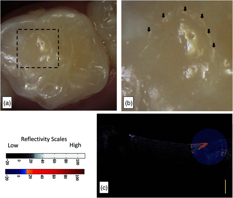 Fig. 6