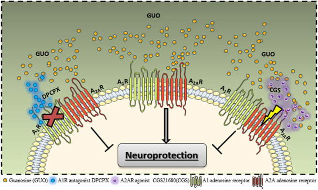 FIGURE 1