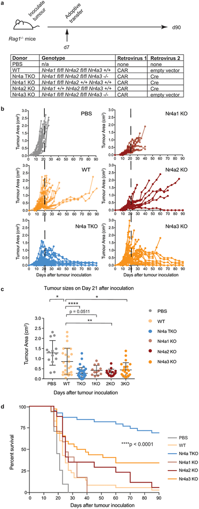 Extended Data Figure 6 |