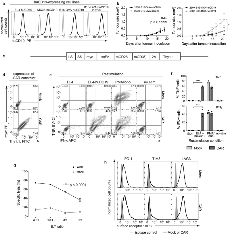 Extended Data Figure 1 |