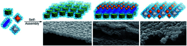 graphic file with name d0sc03318a-ga.jpg