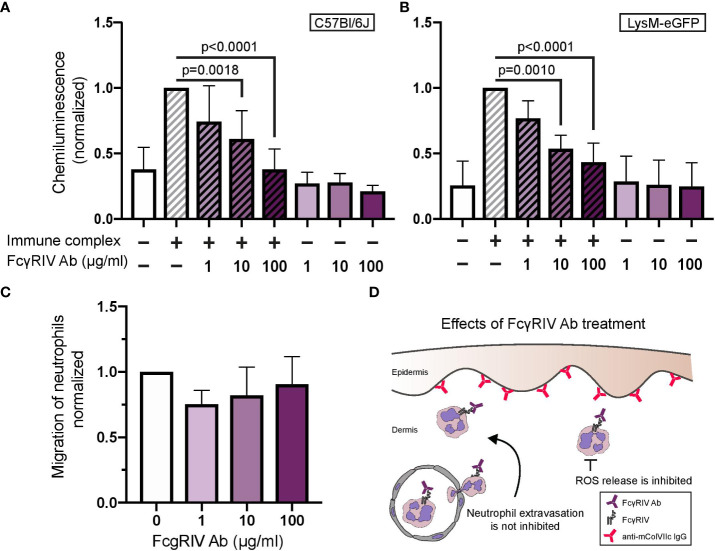 Figure 4