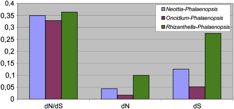 FIG. 3.—