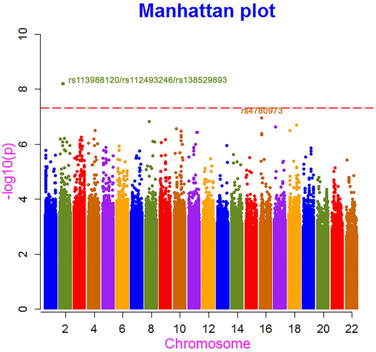 Fig. 1