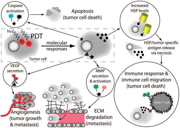 Figure 26