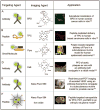 Figure 18