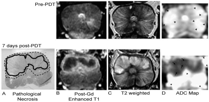 Figure 21