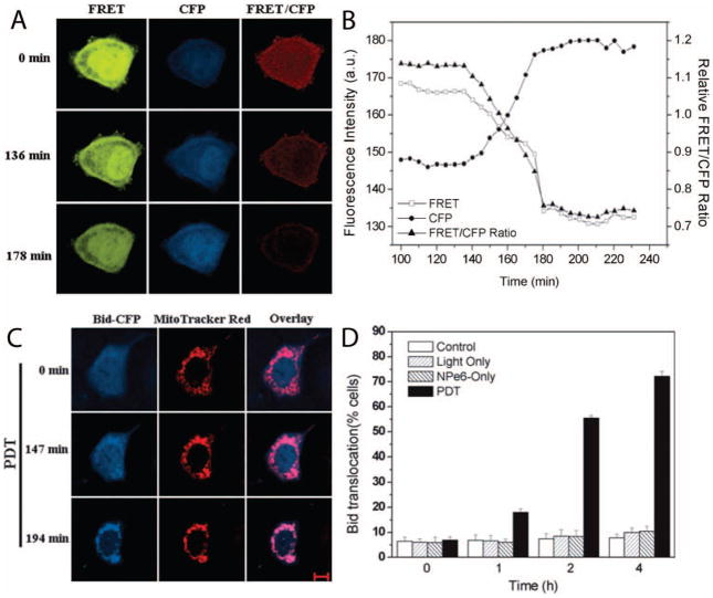 Figure 27