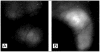 Figure 28