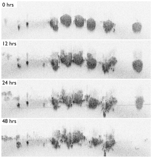 Figure 24