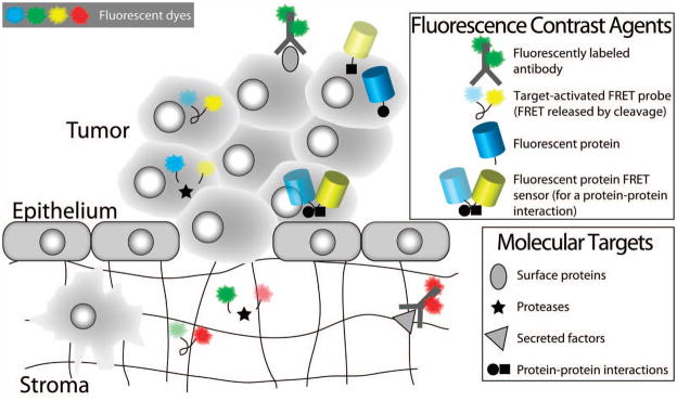 Figure 25