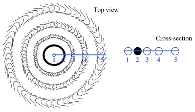 Fig. 2