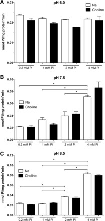 Fig. 4.