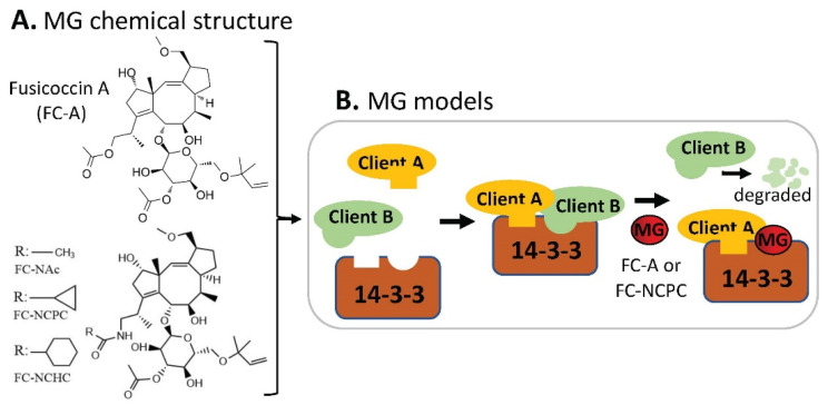 Figure 13