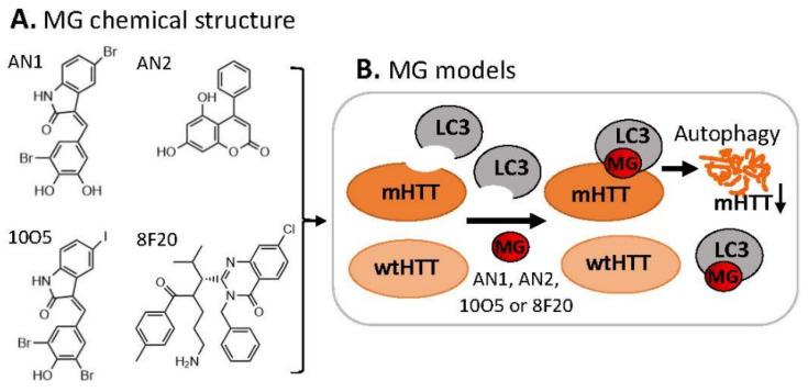 Figure 12