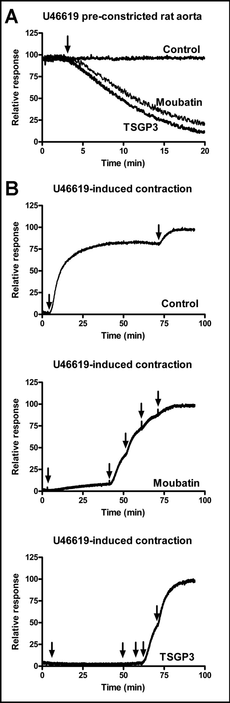 Fig. 5