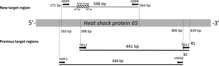 FIG 1