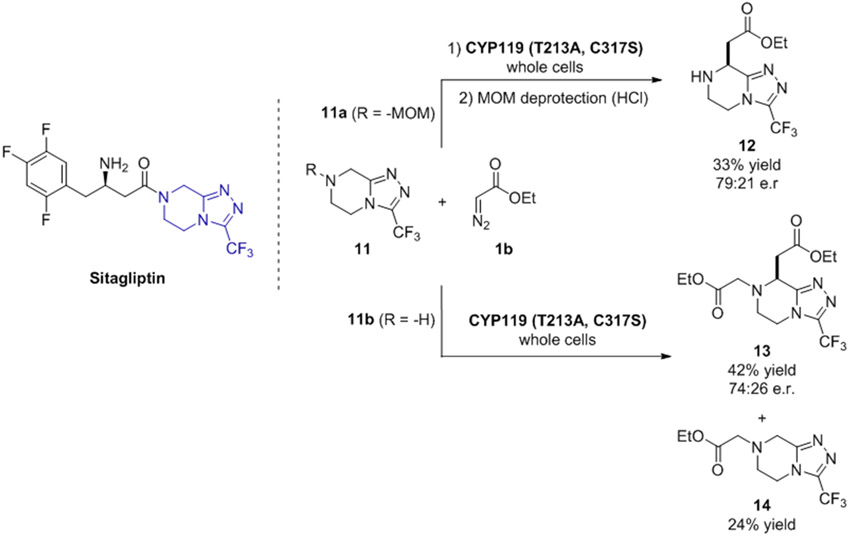 Figure 7.