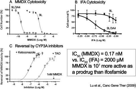 Fig. 8.