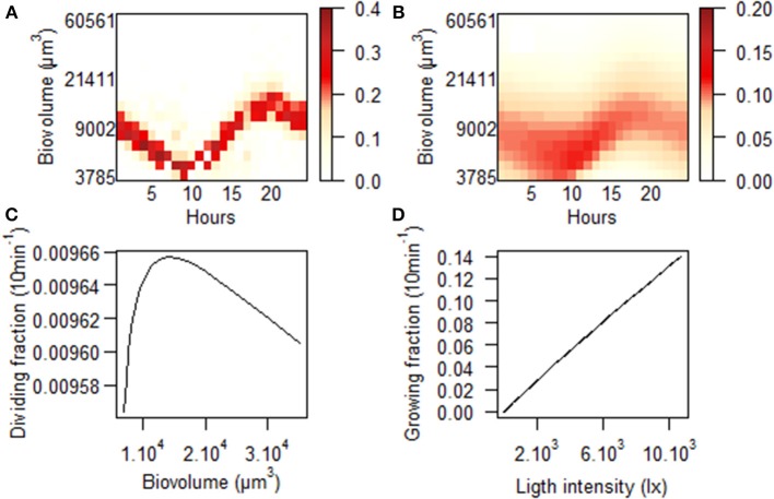 Figure 11