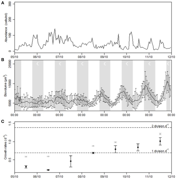 Figure 10