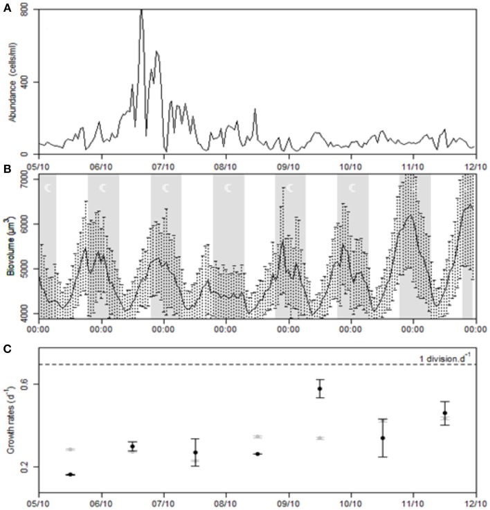 Figure 12