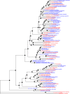 <sc>Fig</sc>. 6