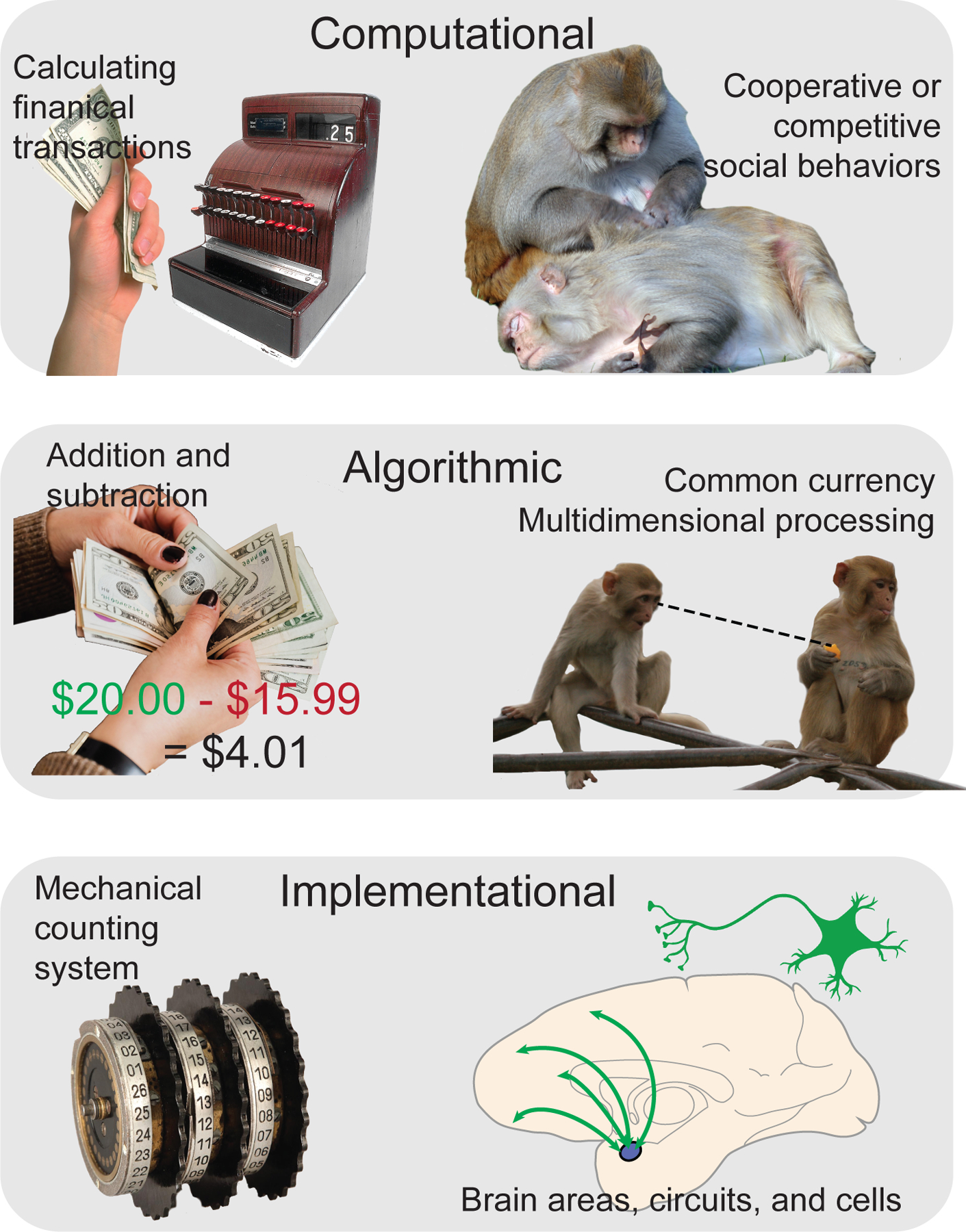 Figure 2.