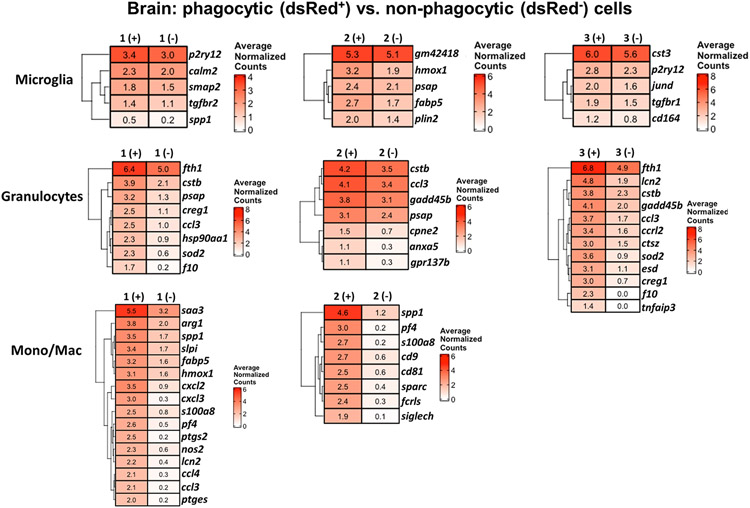 Figure 5.