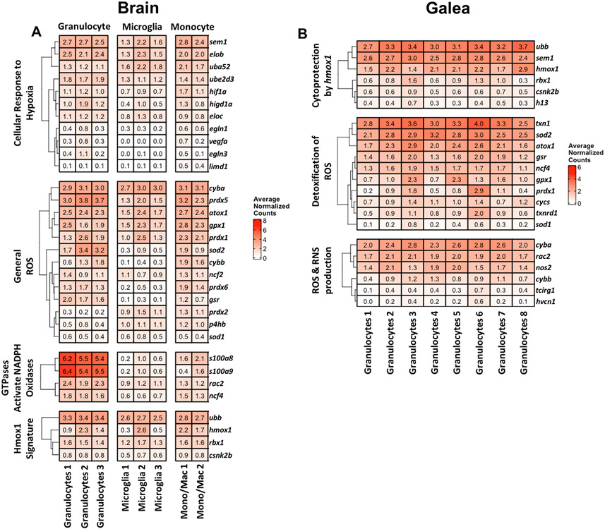 Figure 11.