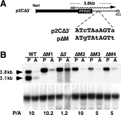 FIG. 7.