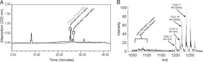 Fig 5