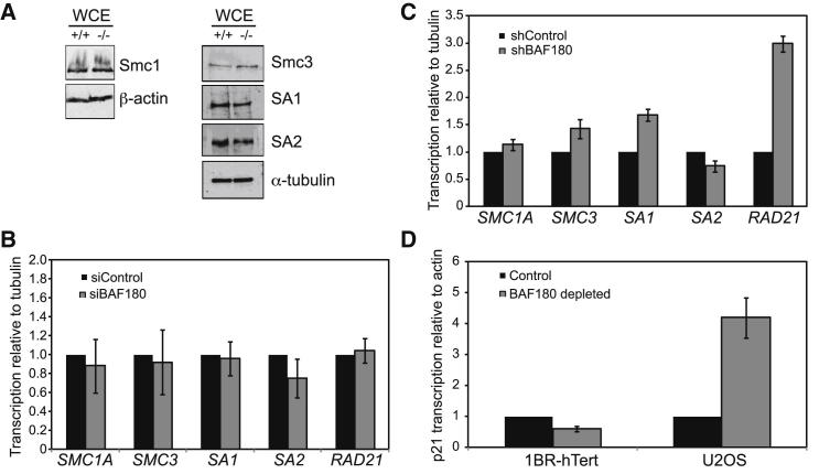 Figure 2