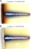 FIG 7