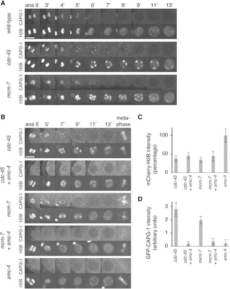 Figure 6