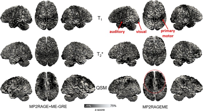 Figure 7