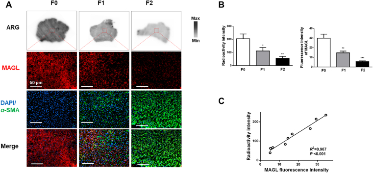 Figure 5