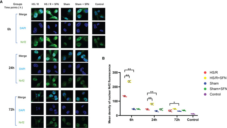 Figure 2