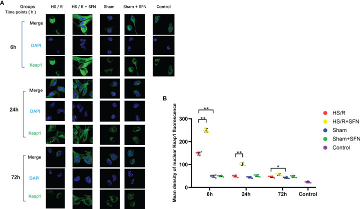 Figure 3