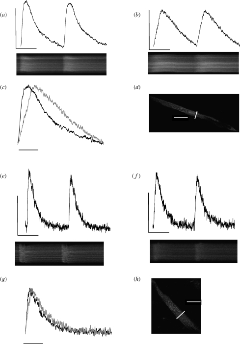 Figure 3.