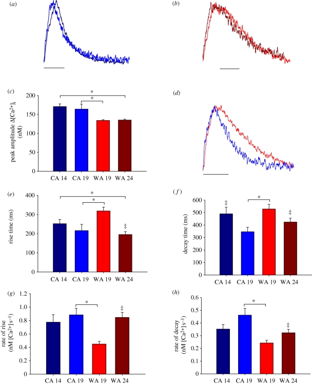 Figure 1.