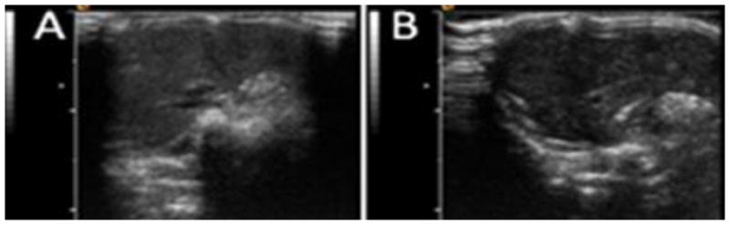 Fig. 9