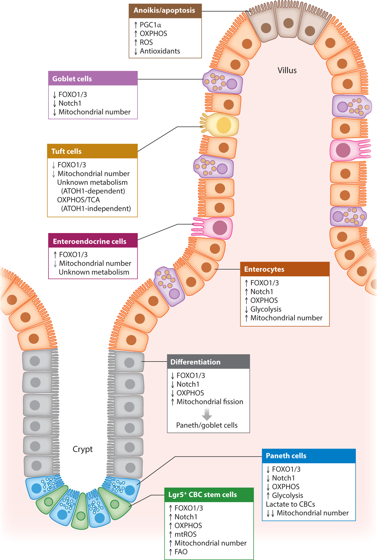 Figure 3 :