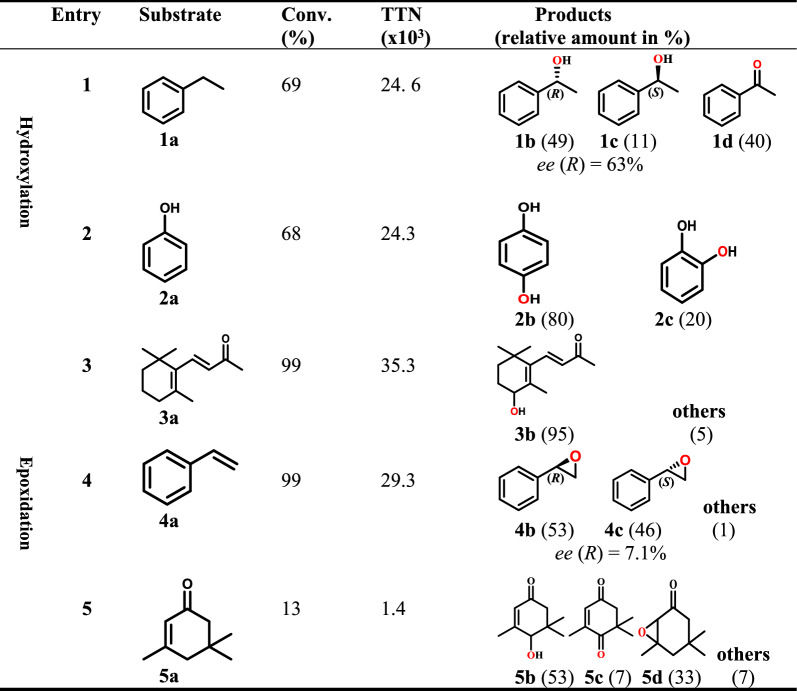 graphic file with name 40643_2024_751_Tab3_HTML.jpg