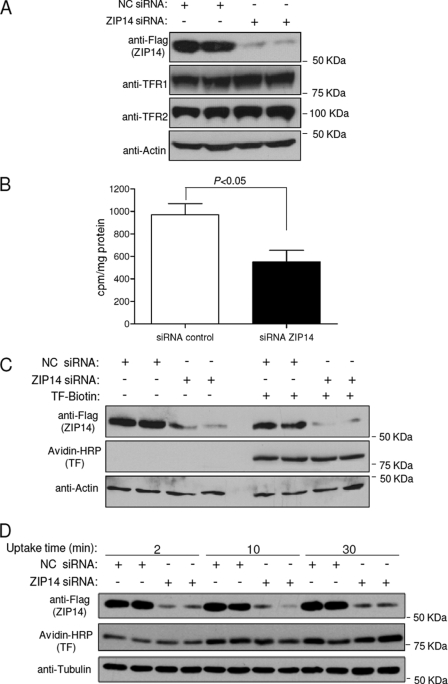 FIGURE 7.